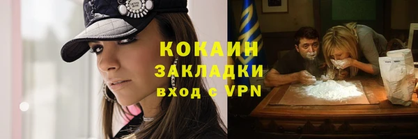 гидра Алексин