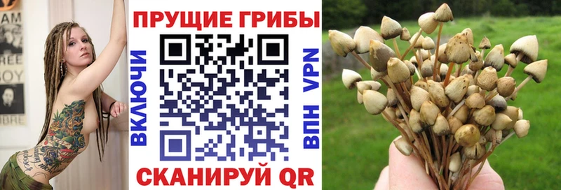 Галлюциногенные грибы Cubensis  Сафоново 